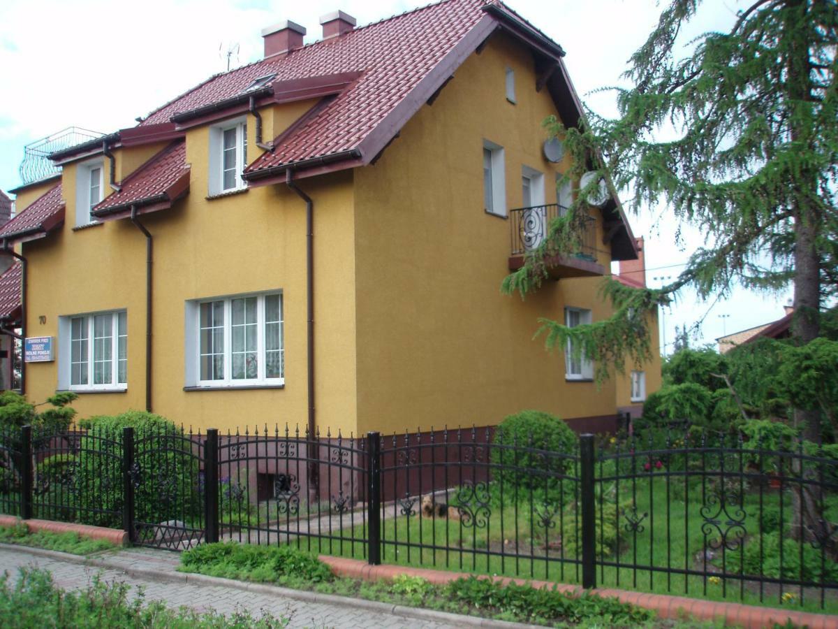 Zenit Homestay
